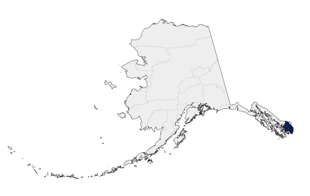 Brown Pelican county map