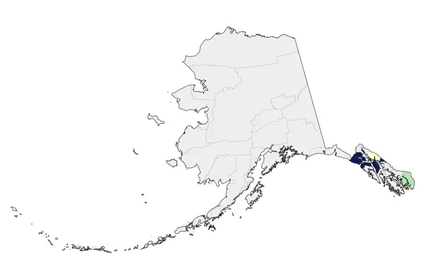 Hooded Oriole county map