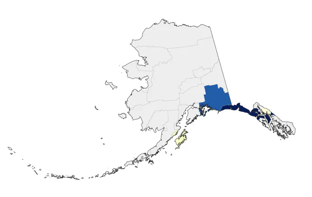 Laughing Gull county map