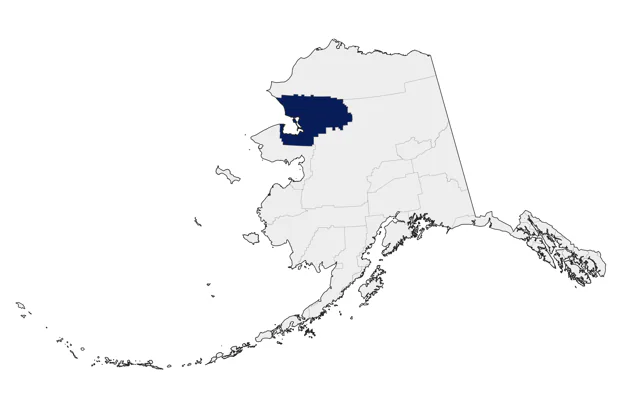 Lesser Nighthawk county map