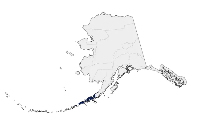 Magnificent Frigatebird county map