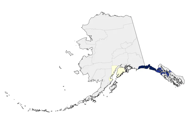 Nazca Booby county map
