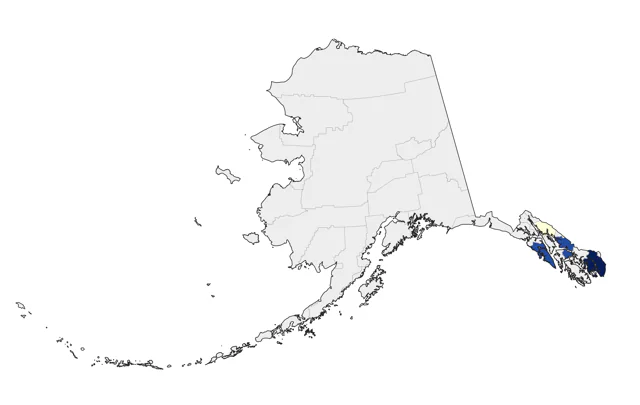 Tropical Kingbird county map