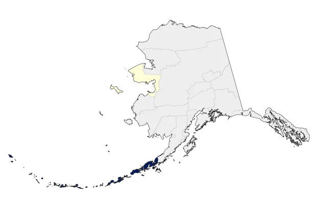 Whiskered Auklet county map
