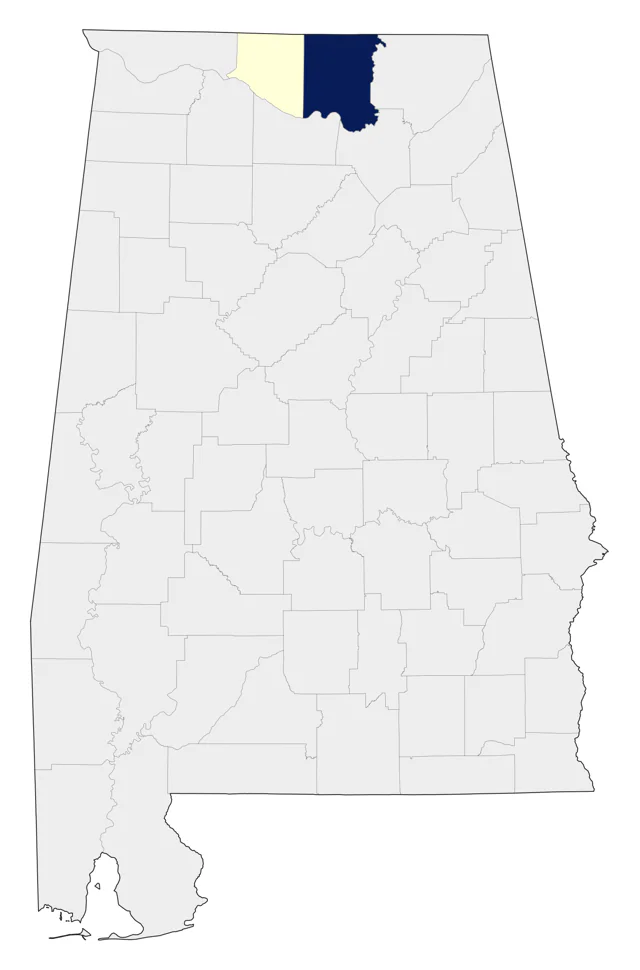 Ringed Teal county map