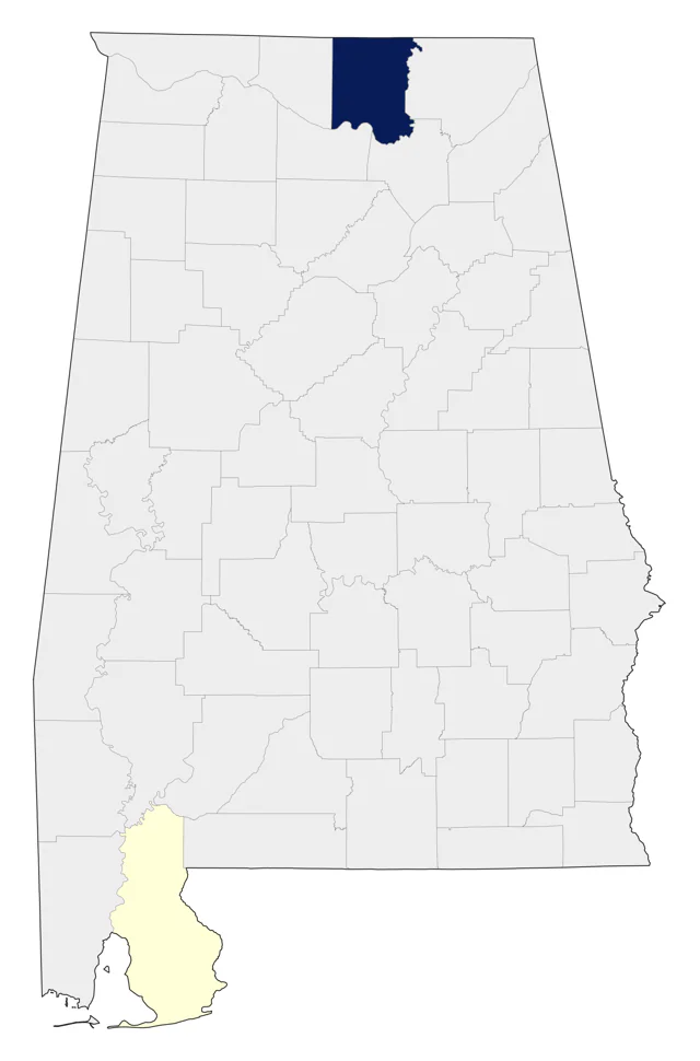 White-cheeked Pintail county map