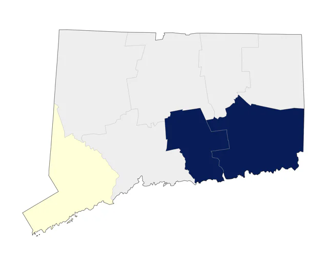Black Swan county map