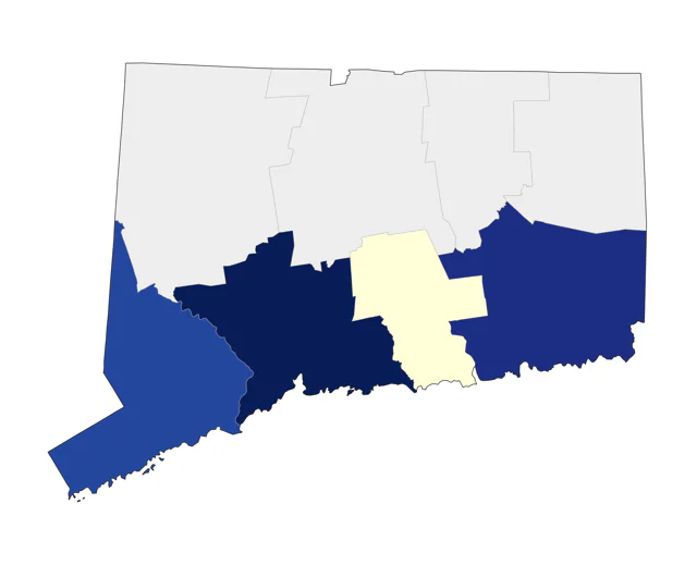 Ruff county map