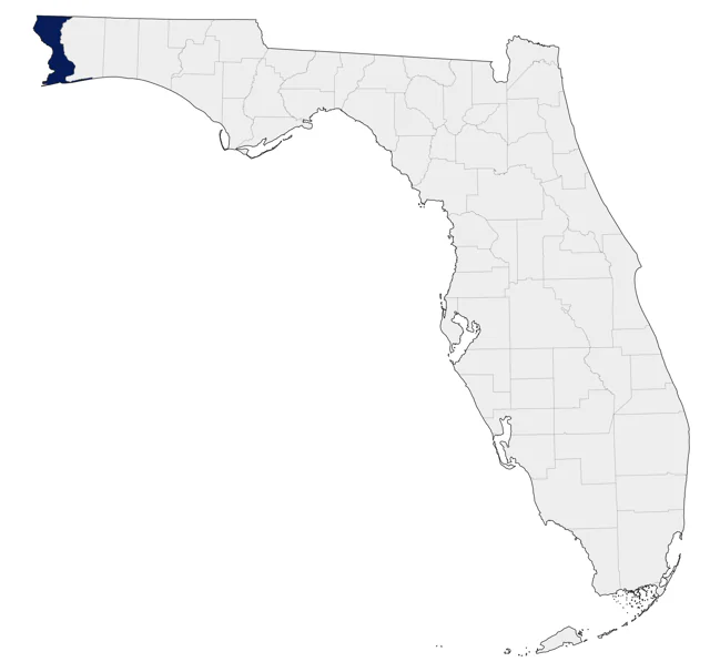 Bulwer's Petrel county map