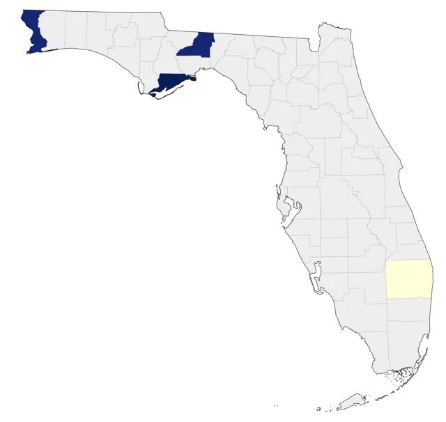 Couch's Kingbird county map