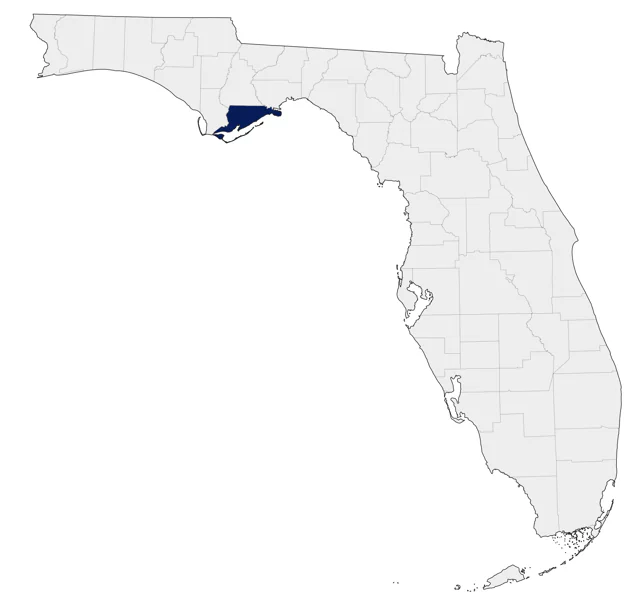 Gray-hooded Gull county map