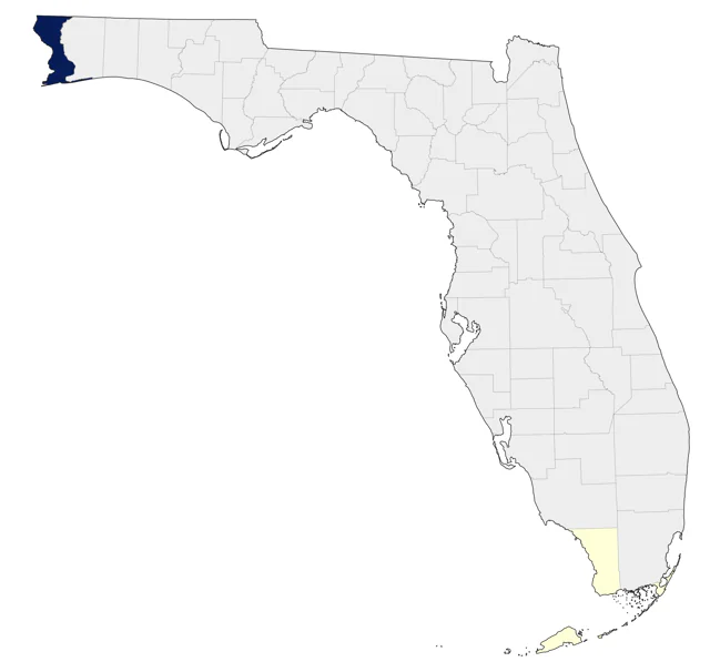 Slaty-backed Gull county map