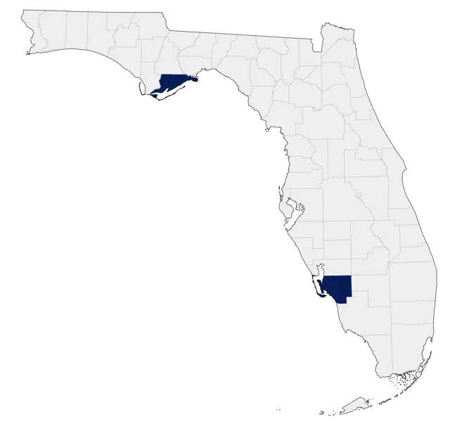 Small-billed Elaenia county map