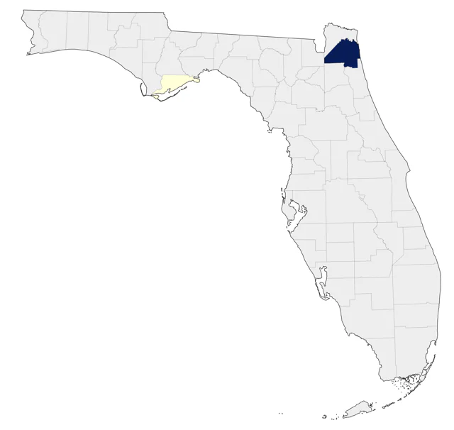Snowy Owl county map