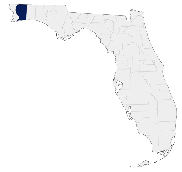 White-throated Swift county map