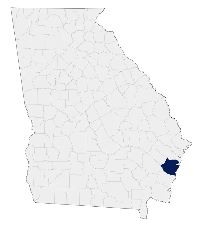 Common Shelduck county map