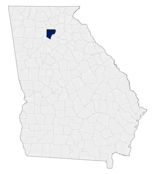 Whooper Swan county map