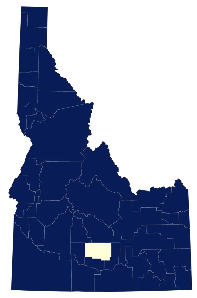 Bank Swallow county map