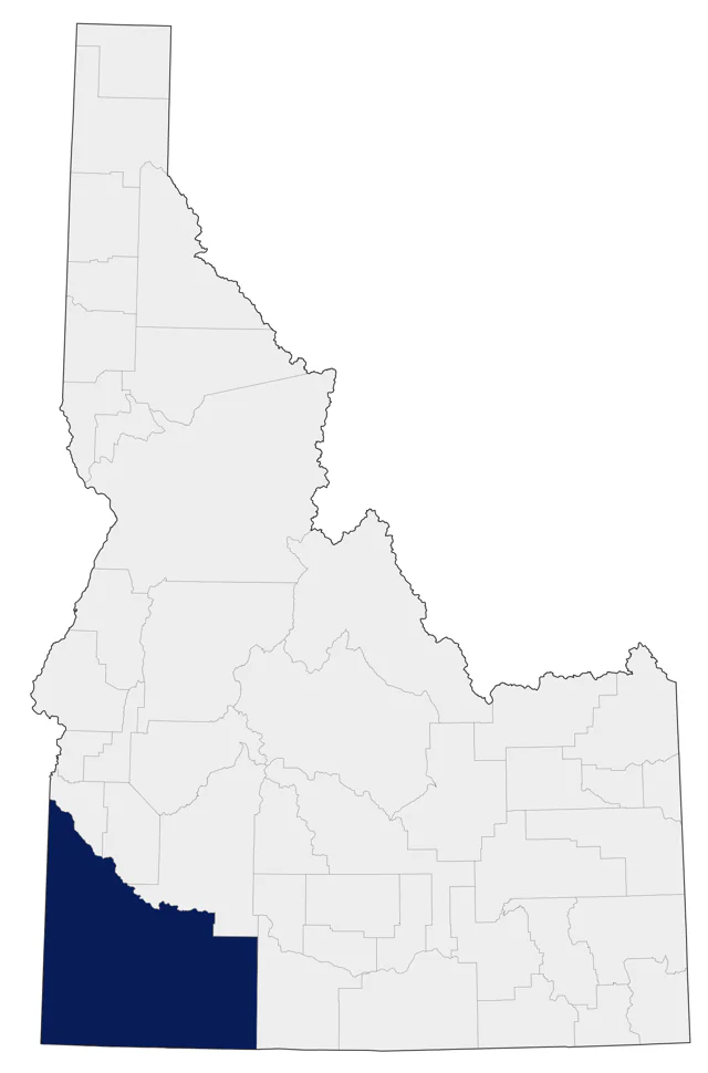 Laughing Gull county map