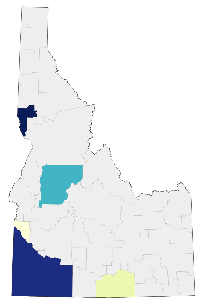 Ruff county map