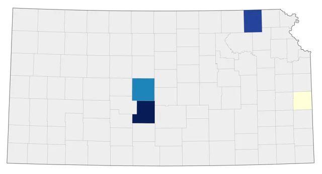 Ruff county map