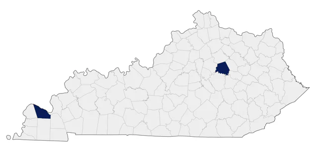 Lesser Nighthawk county map