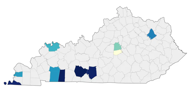 Ruff county map