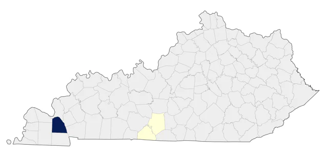 Short-billed Gull county map
