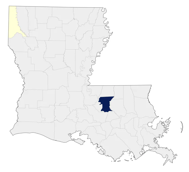 Short-billed Gull county map