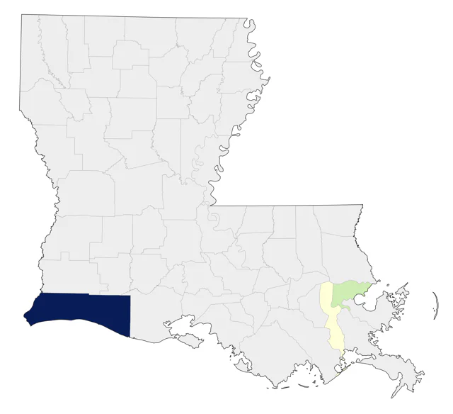 Sulphur-bellied Flycatcher county map