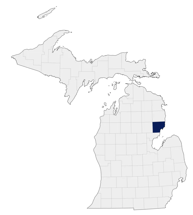 Southern Lapwing county map