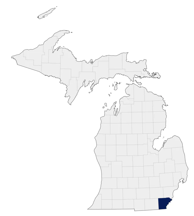White-cheeked Pintail county map