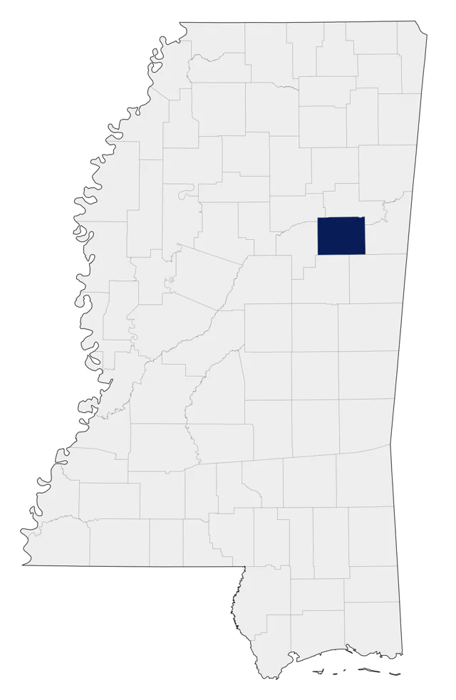 Citrine Wagtail county map
