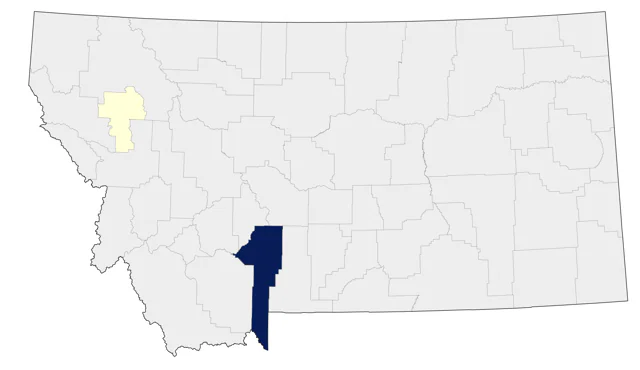 American Black Duck county map
