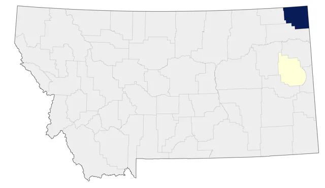 Eastern Wood-Pewee county map
