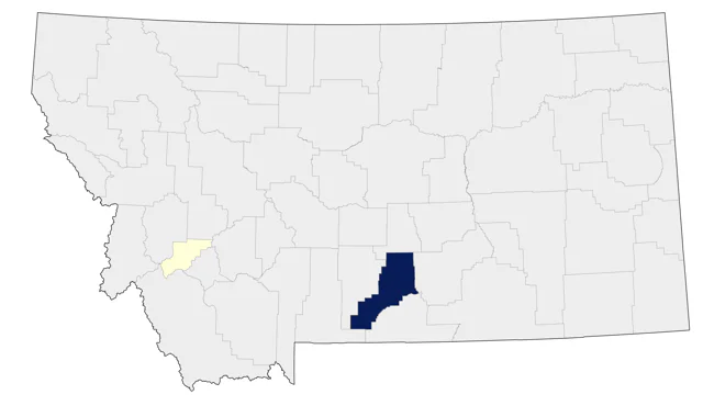 Laughing Gull county map
