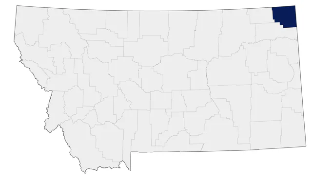 Ruff county map