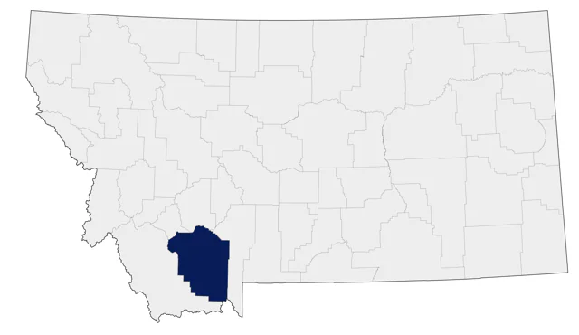 Wood Stork county map