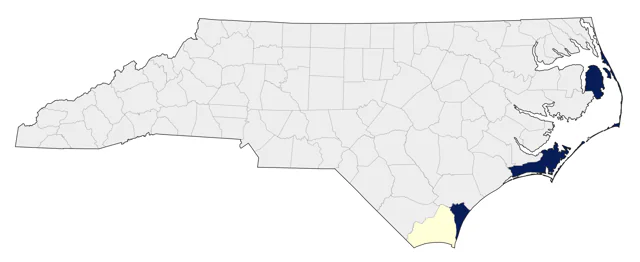 Black-whiskered Vireo county map