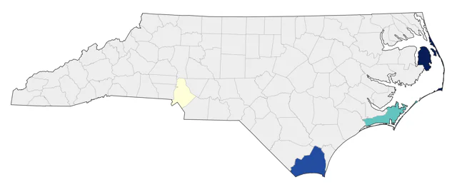 Brown Noddy county map