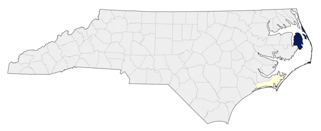 Common Ringed Plover county map