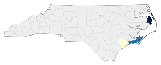 Desertas Petrel county map