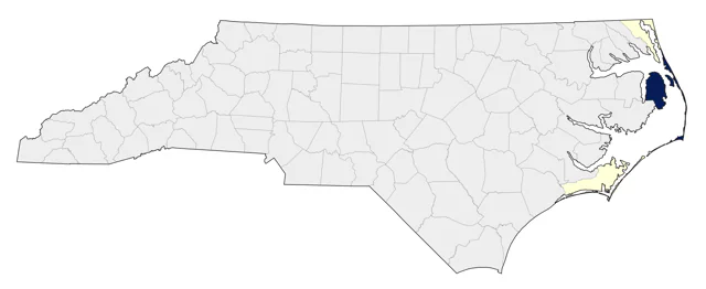 Great Skua county map