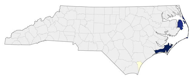 King Eider county map