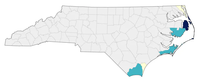 Scopoli's Shearwater county map