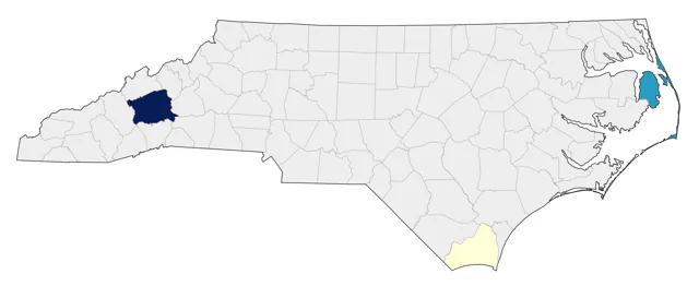 White-cheeked Pintail county map