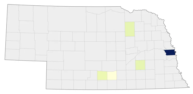 Ruff county map