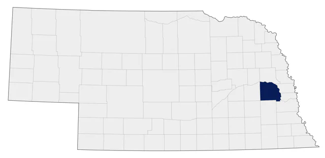 Wood Stork county map