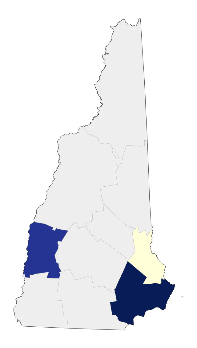 Ruff county map