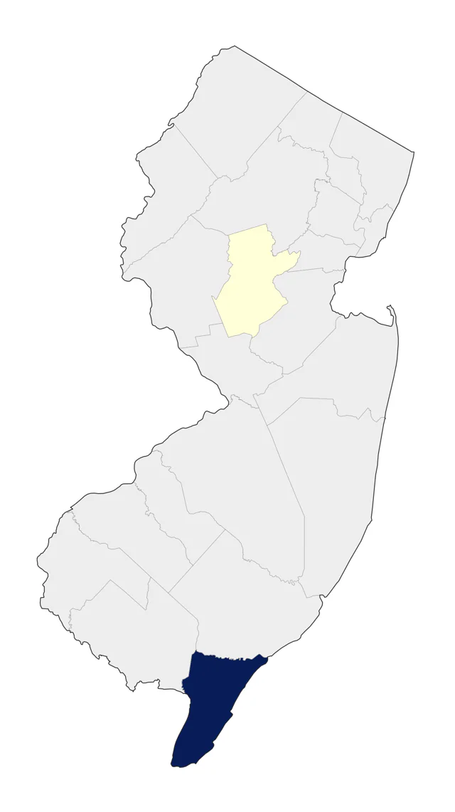 Lesser Nighthawk county map